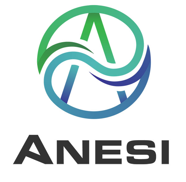 Anesi Sales Representative